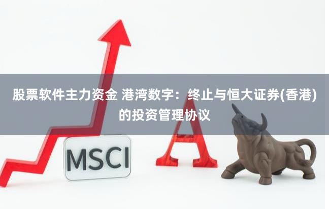 股票软件主力资金 港湾数字：终止与恒大证券(香港)的投资管理协议