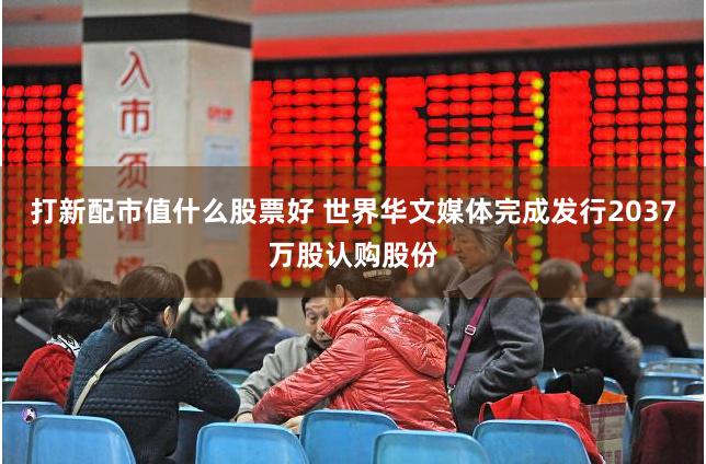 打新配市值什么股票好 世界华文媒体完成发行2037万股认购股份