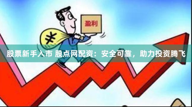 股票新手入市 股点网配资：安全可靠，助力投资腾飞