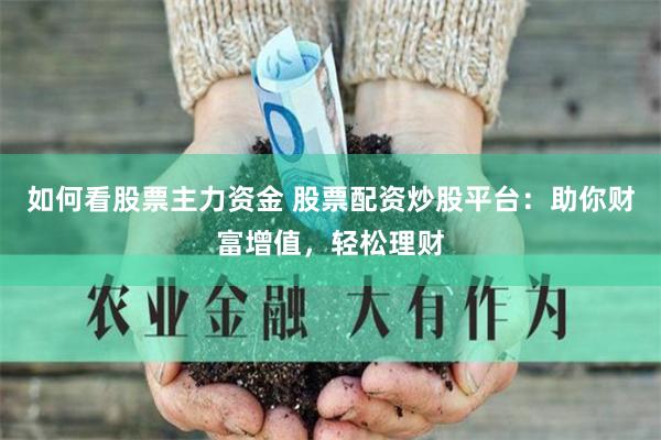 如何看股票主力资金 股票配资炒股平台:助你财富增值,轻松理财