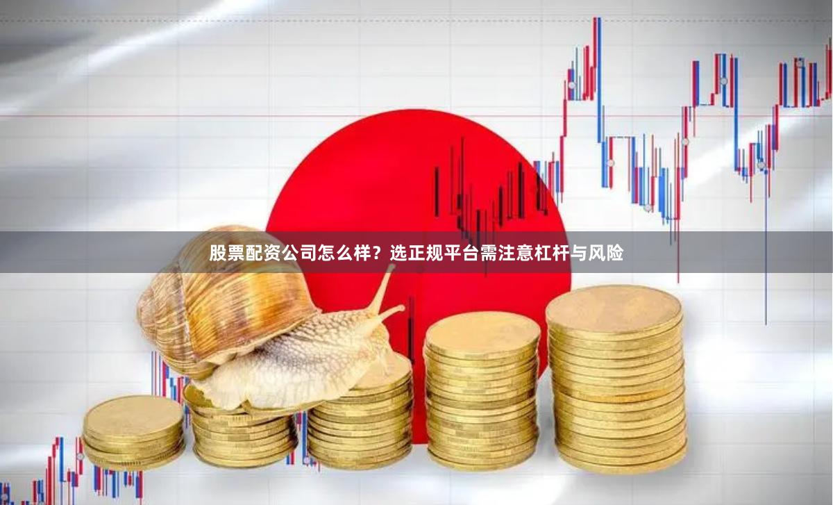 股票配资公司怎么样？选正规平台需注意杠杆与风险