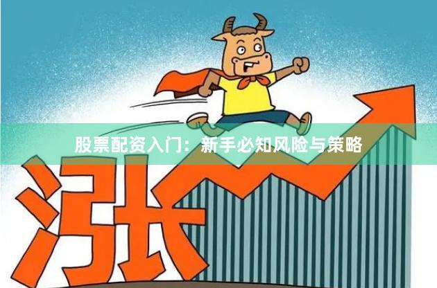 股票配资入门：新手必知风险与策略